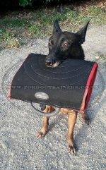 Puppy Training Biting Sleeve for Trainer's Hand Protection_1