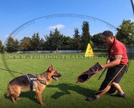 Jute Bite Sleeve for IGP Training of Young and Adult Dogs