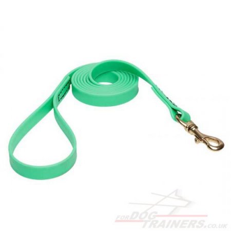 NEW! Green Dog Lead Super Strong Biothane