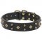 Brass Studded Handmade Dog Collar Designs "Treasure"