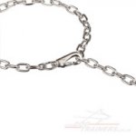 The Best Dog Chain Collar with Snap Hook by Herm Sprenger