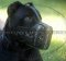 Cane Corso Training Dog Muzzle Barbed Wire | Cane Corso Muzzle