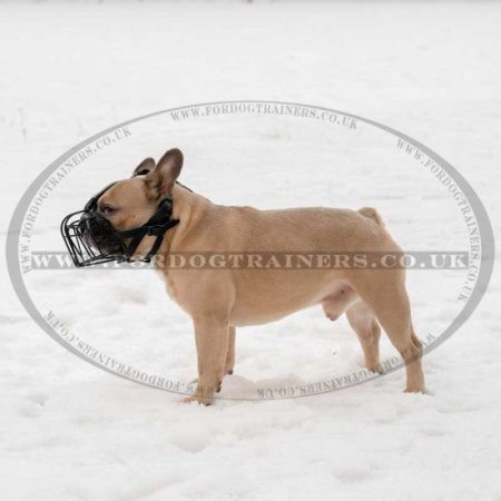 Black Rubber Covered French Bulldog Dog Muzzle for a Flat Face