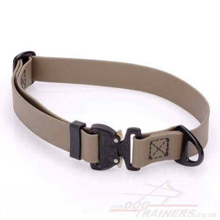 1 Inch Cobra Buckle Dog Collar Biothane