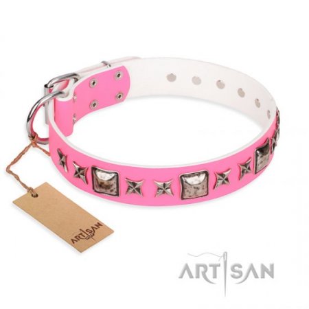 Pretty Dog Collar with Glancing Spikes and Studs NEW DESIGN!