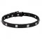 New 2024 Dog Fashion Collar for Small to Big Dogs and Puppies