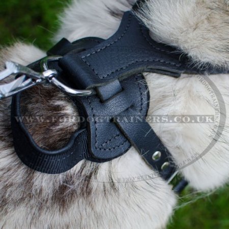 High-Quality Comfortable Leather Dog Harness For Husky