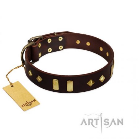 "Blinking Illusion" Extraordinary Brown Leather Dog Collar With Shiny Studs FDT Artisan