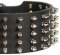 Extra Wide Dog Collar 3 inch Leather with Spikes