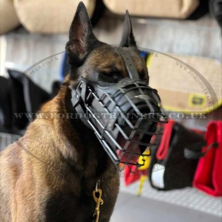 K9 Dog Muzzle for Belgian Malinois Agiation Training