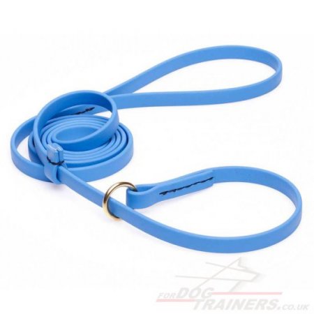 Blue Dog Leash and Collar Choker Set Combo, Biothane