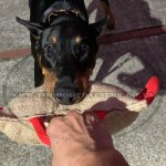 Jute Dog Bite Pad With 3 Handles UK Most Popular_1