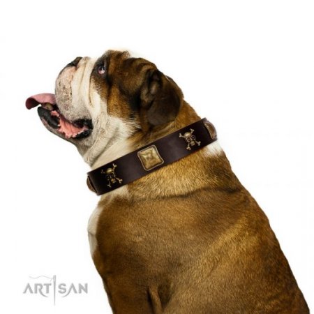 "Crazy Pirate" Exclusive Brown Leather Dog Collar With Brass Skulls FDT Artisan