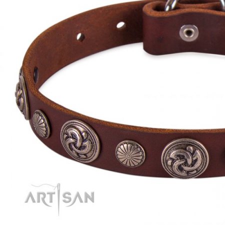 Premium Chocolate Brown Leather Dog Collar With Round Medallions FDT Artisan