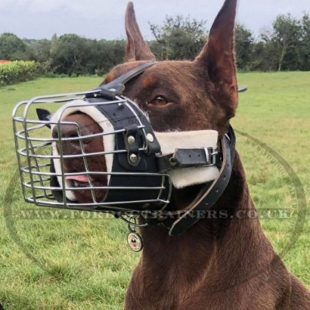 Wire Basket Muzzle for Dogs | Best Muzzle for a German Shepherd