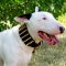 Spiked Dog Collar for Bull Terrier | Wide Dog Collar with Spikes