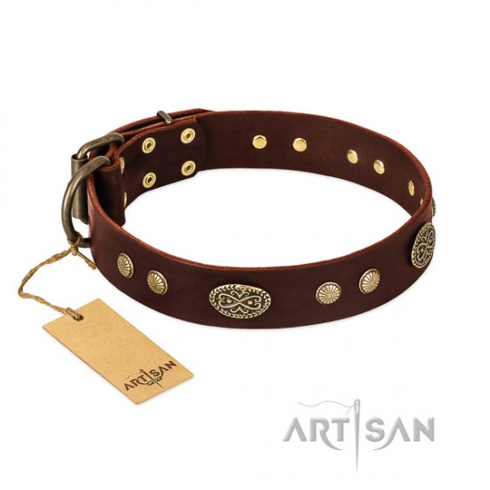Brown Leather Dog Collar "Old-Fashioned Glamour" FDT Artisan