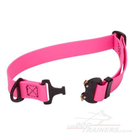 1 Inch Cobra Buckle Dog Collar Biothane