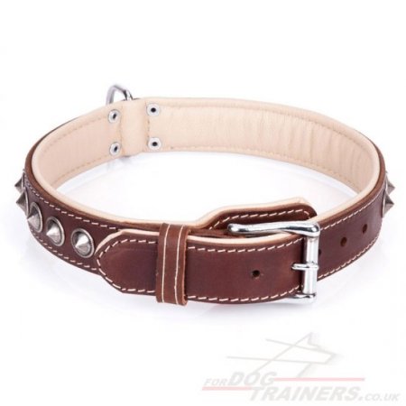 "Cone" Fabulous Brown Leather Dog Collar UK With Shiny Decorations