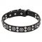 Classy Dog Collar with Chick Design and a Strong Metal Buckle