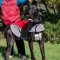 Extra Large Great Dane Jacket for Comfy Winter Dog Walking