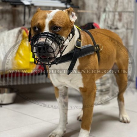 Dog Muzzle for Amstaff Rubberized Wire | Safe Muzzle for Staffy