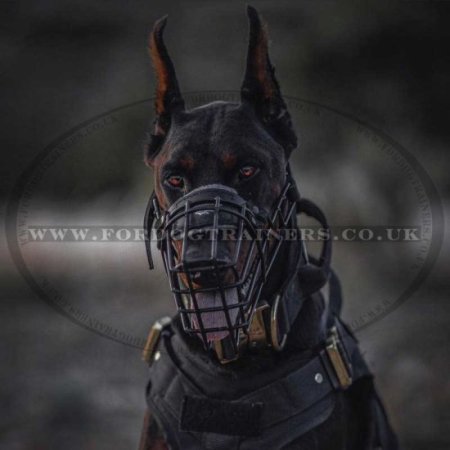 Dog Muzzle for Doberman Rubberized Wire Basket