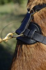 Padded Dog Harness for Malinois | Bestseller Leather Dog Harness_3