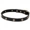 Diamonds Studded Dog Collar of Natural Leather, with Buckle