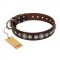 Artisan Dog Collar "Step and Sparkle" with Silver Studs