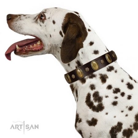 "Bronze Idol" Durable Chocolate Brown Leather Dog Collar FDT Artisan