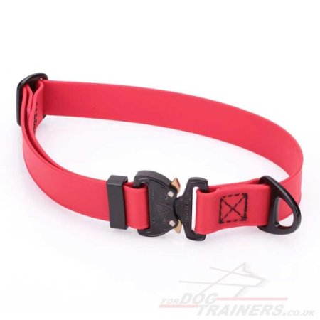 1 Inch Cobra Buckle Dog Collar Biothane