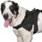 Sarmatian Mastiff Harness | Large Dog Harness with Handle
