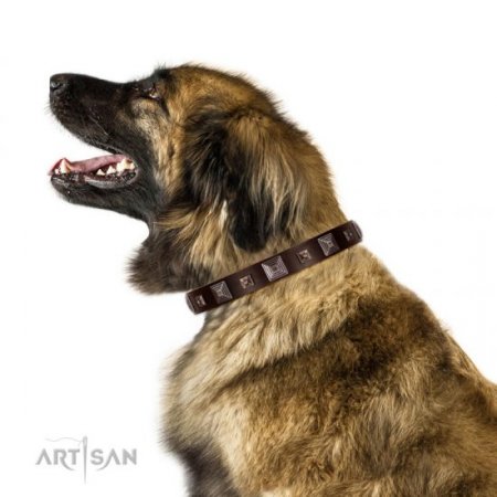 Brown Studded Buckle Dog Collar FDT Artisan For Reliable Control