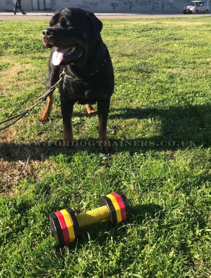 Dog Obedience Dumbbells "Favourite Passtime" 2 kg