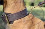 Strong 2 Ply Leather Dog Collar for Belgian Malinois with Brass Buckle_1