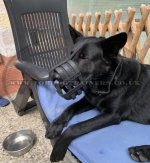 Strong and Soft Leather Dog Muzzle UK Bestseller_3