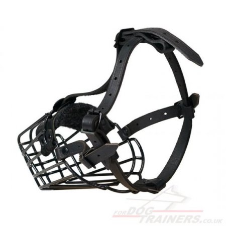"For Everyone" Soft Padded Muzzle For Spaniel