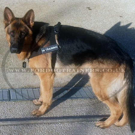 Get German Shepherd Harness UK Bestseller for Dog that Pulls