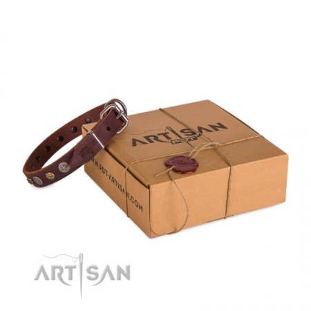 Extraordinary Soft Brown Leather Dog Collar Adorned With Glossy Studs