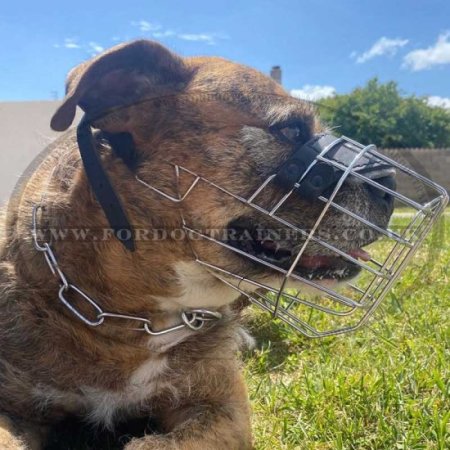Best Design Wire Dog Muzzle for Rhodesian Ridgeback Dog