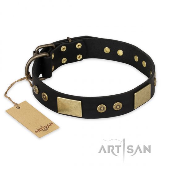 Dazzling Dog Collar "Spanish Night" of New Artisan Collection
