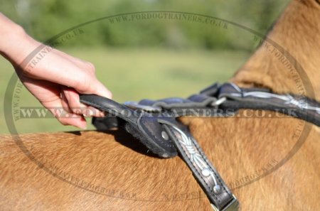 Belgian Shepherd Malinois Dog Training Harness with Painting