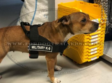 K9 Dog Harness No Pull Front Clip to Stop Dog Pulling on Lead