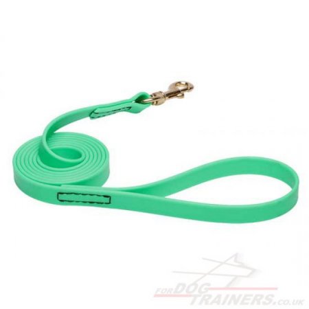 NEW! Green Dog Lead Super Strong Biothane