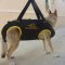 Professional Tactical Insertion Harness for Service Dogs