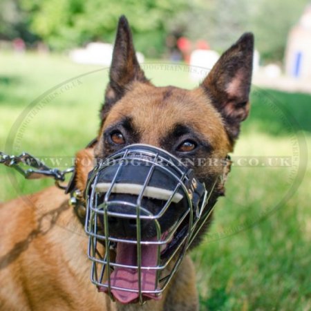 Wire Dog Muzzle for Malinois UK Bestseller