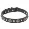 New Beautiful Dog Collar with Studs and Flowers