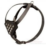 So Cute! Small Studded Leather Dog Harness with Pyramids