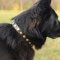 Cool German Shepherd Collars for Sale from the Producer